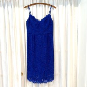 J. Crew royal blue lace dress Nwt new